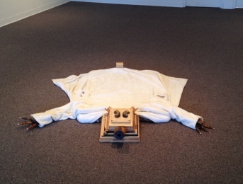 Solo Exhibition: Trophy Room. Bear Rug made from found/recycled wood and bathrobe.